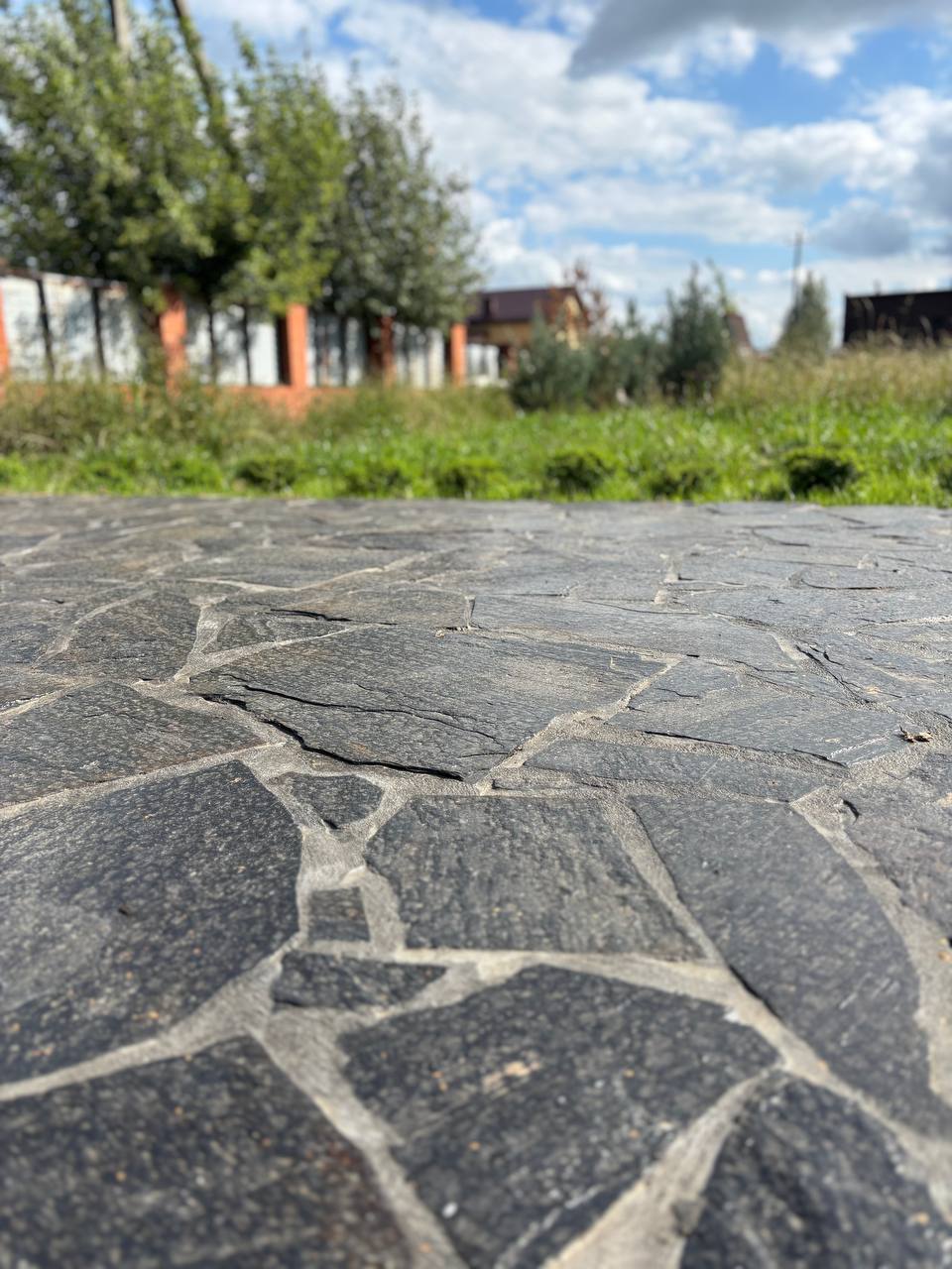 5316656101103630663.jpg