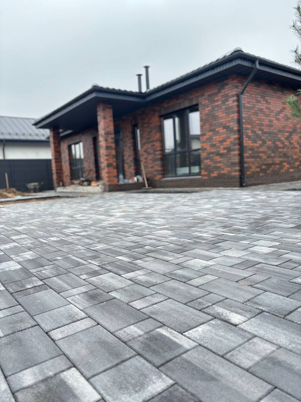 5465379763318292188 (1).jpg